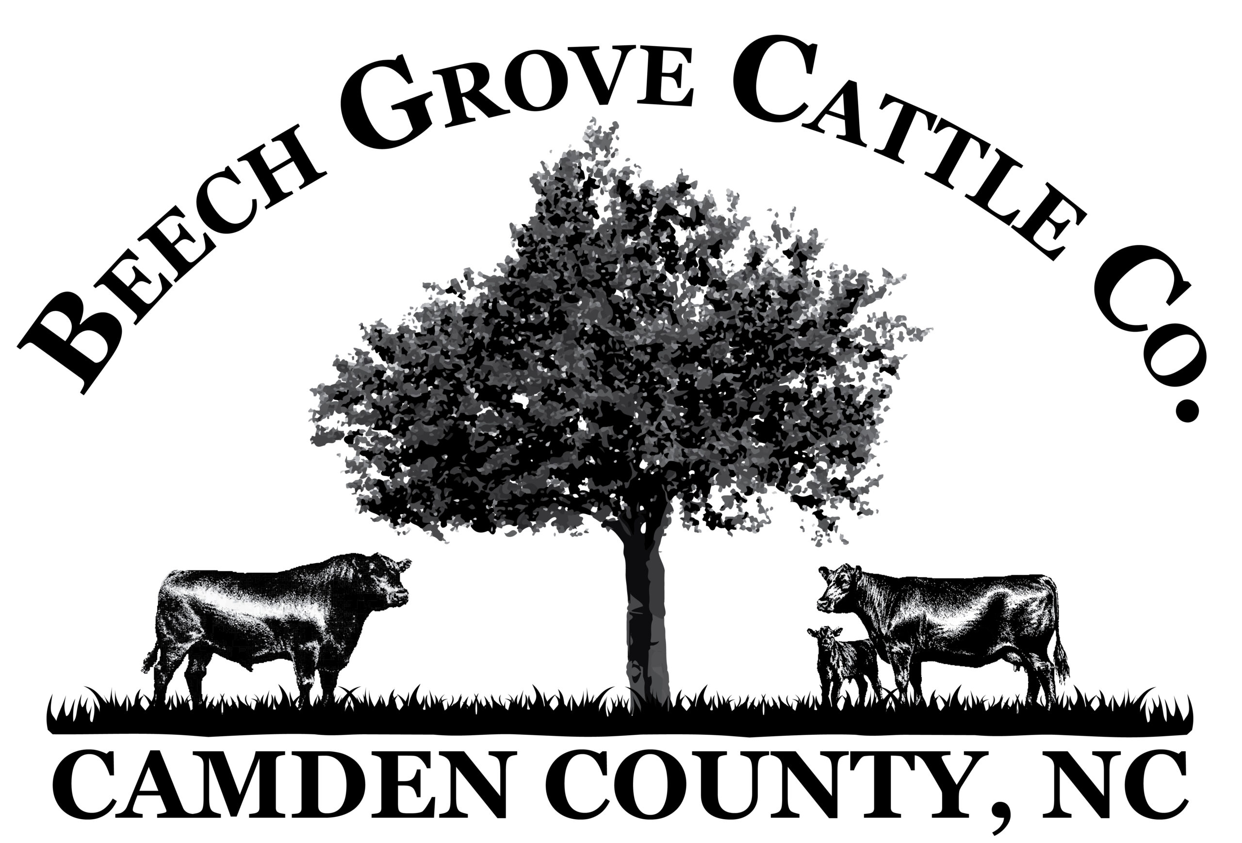 2020 Beech Grove Cattle Company