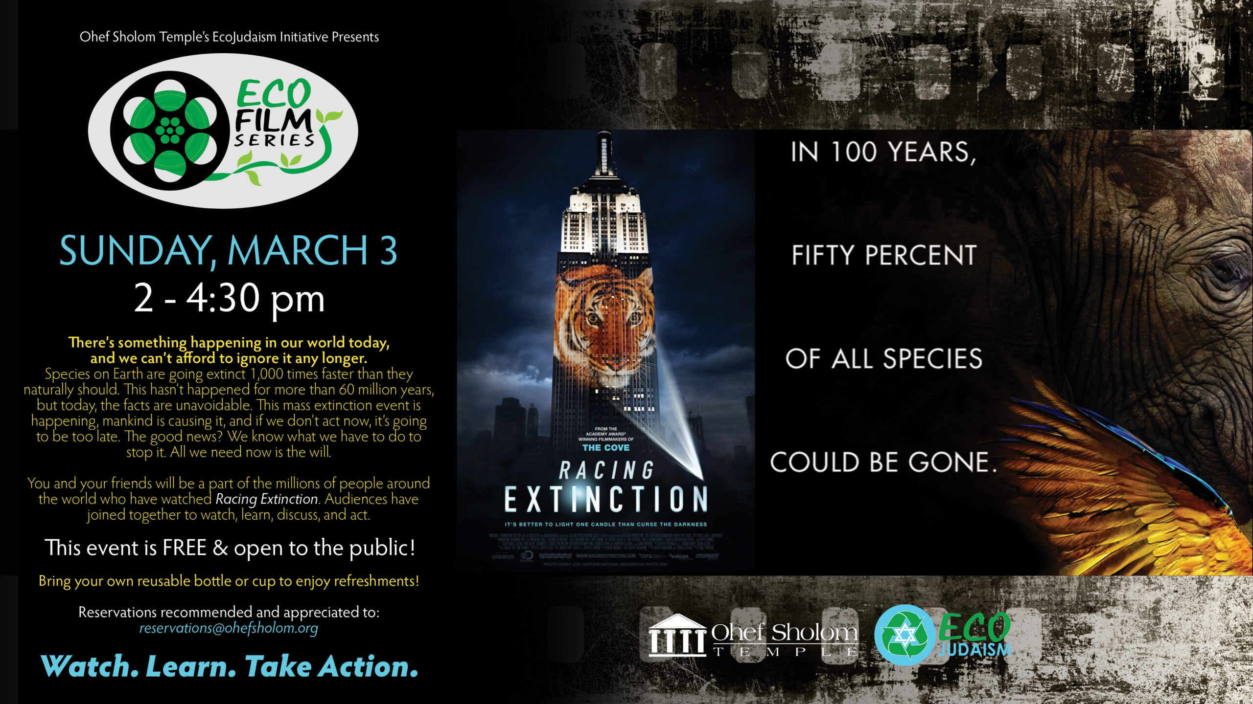 EcoJudaism Film Series Flyer: Racing Extinction