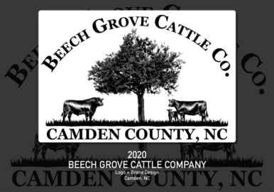 51_2020 Beech Grove Cattle Co