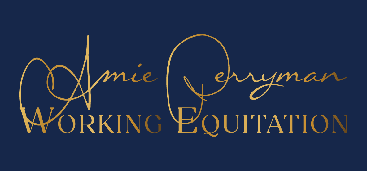 AmiePerryman Logo_Gold+Blue Proposed AmiePerryman Gold Logo on navy blue background