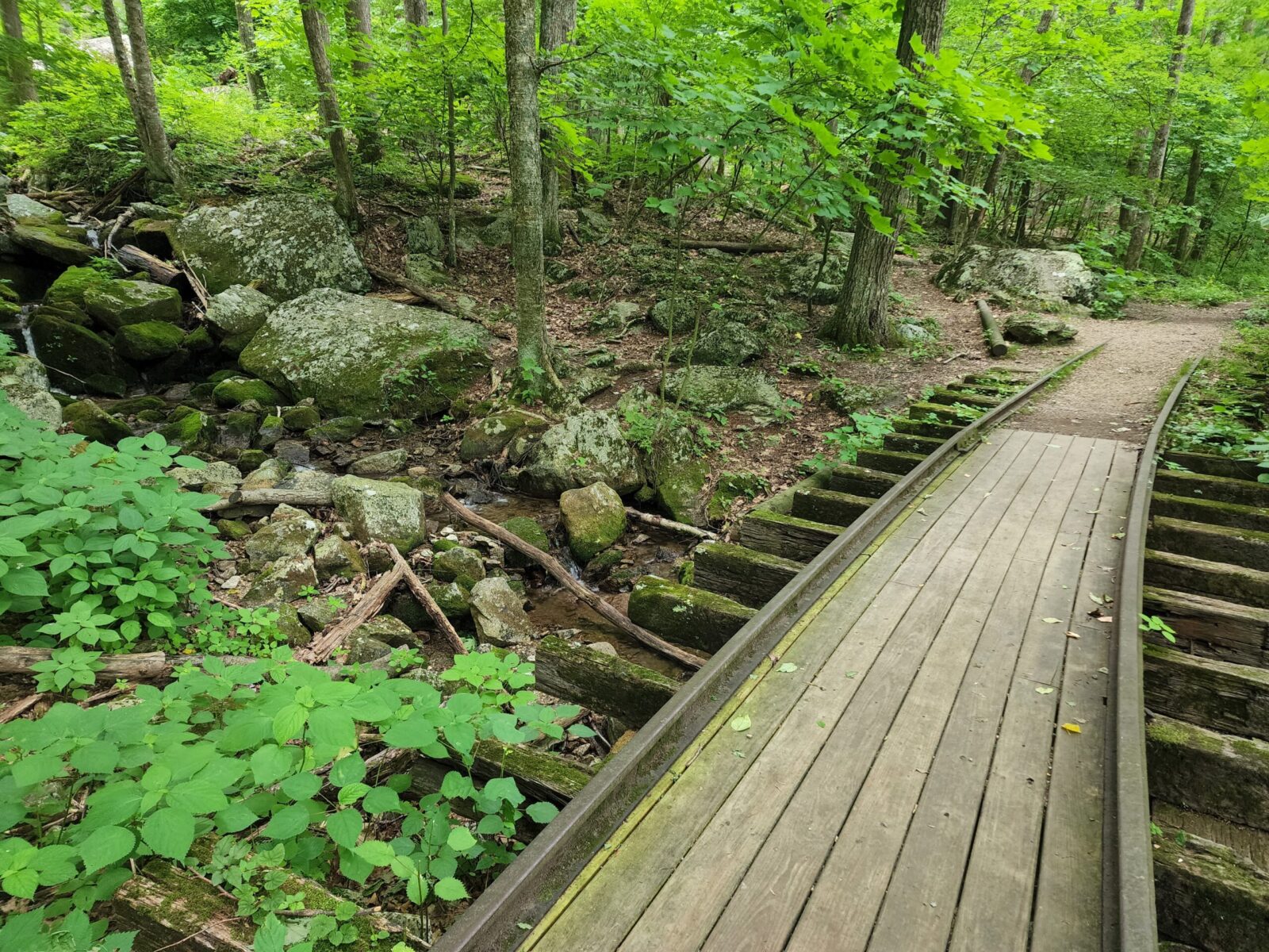 Old railway path off the Blue Ridge Parkway in Virginia