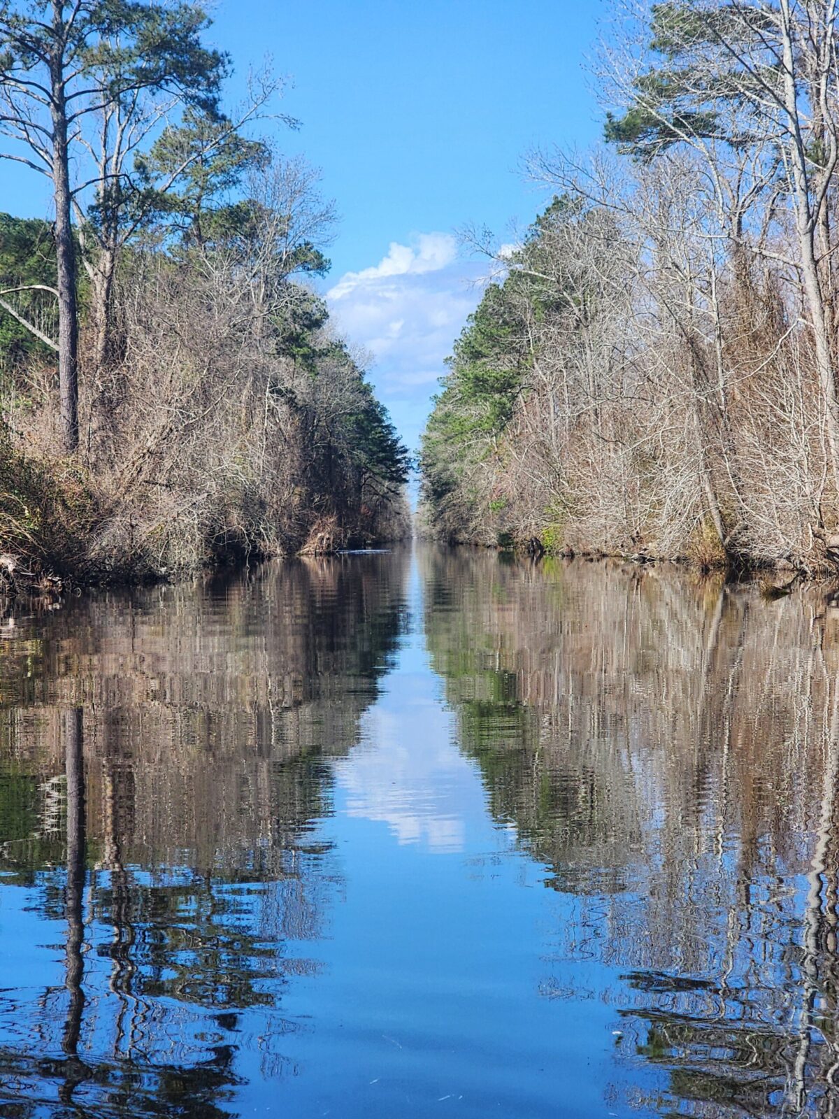 DS Canal Lake Drummond Feeder Ditch, Dismal Swamp Canal in Chesapeake, VA