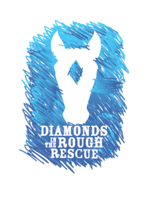 Diamonds in the Rough Logo