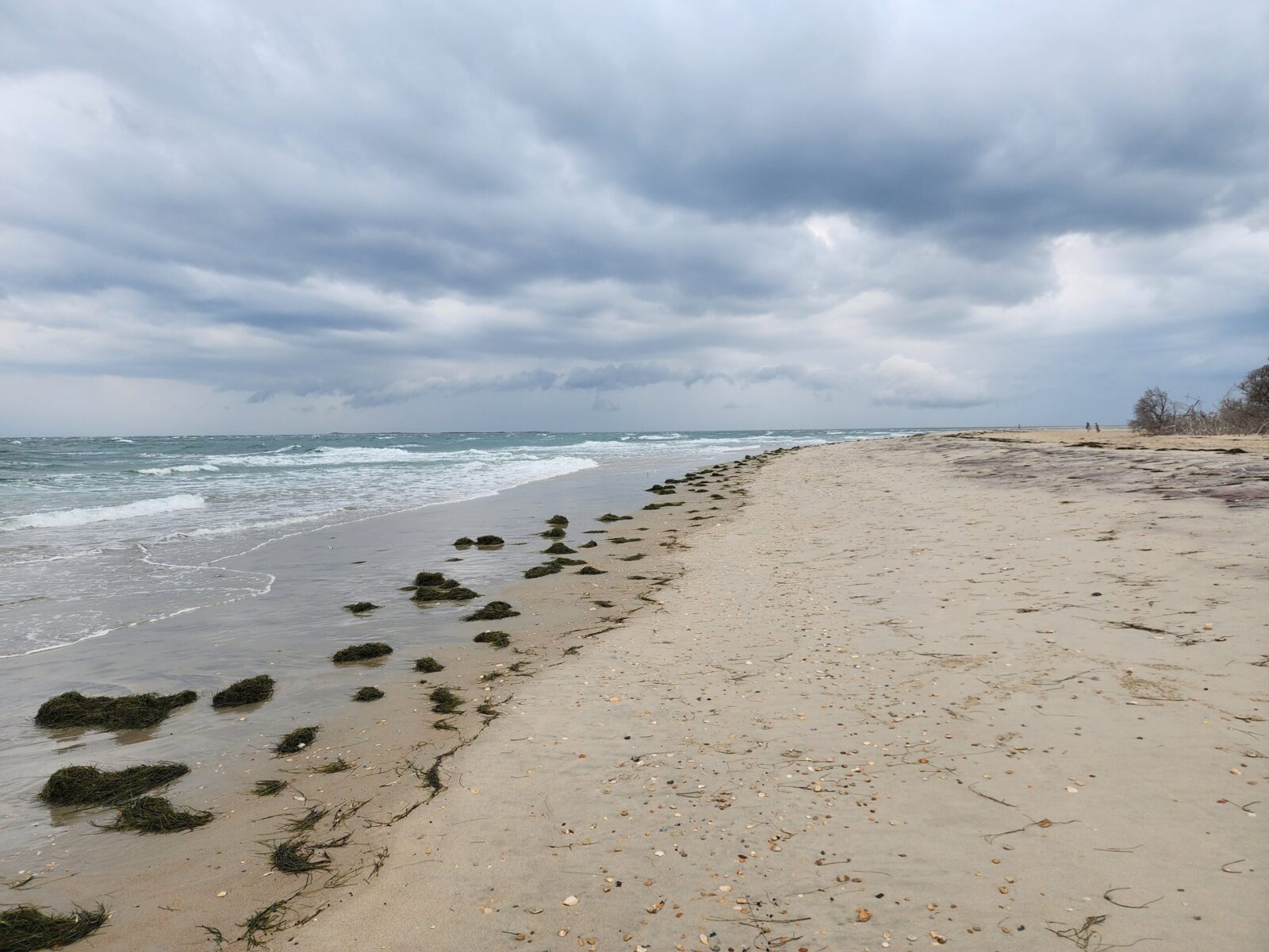 Beach on Hatteras Island,  Outer Banks, NC