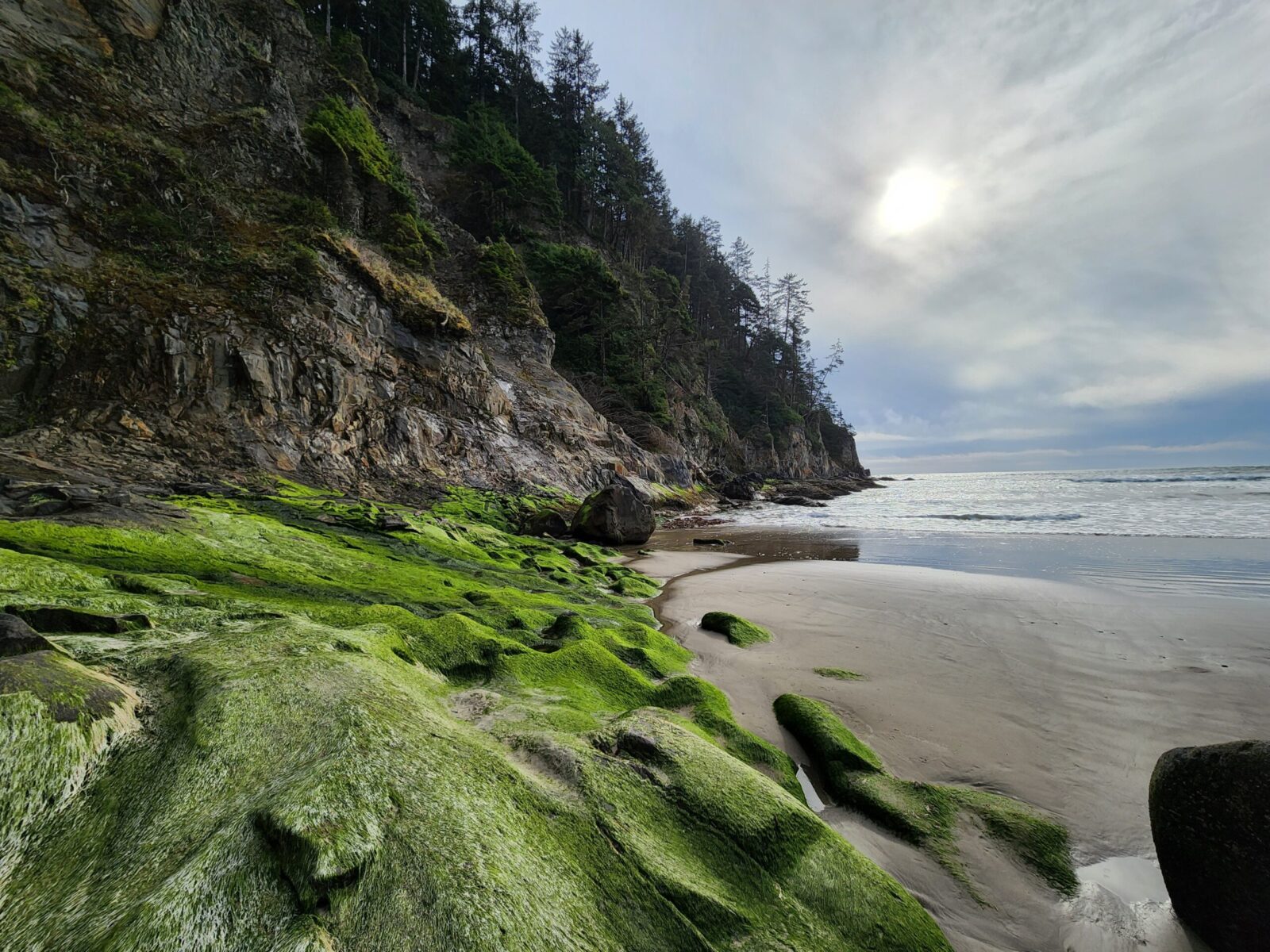 Short Sand Beach, Oswald West State Park, Short Sands Trail South, Oregon Coast