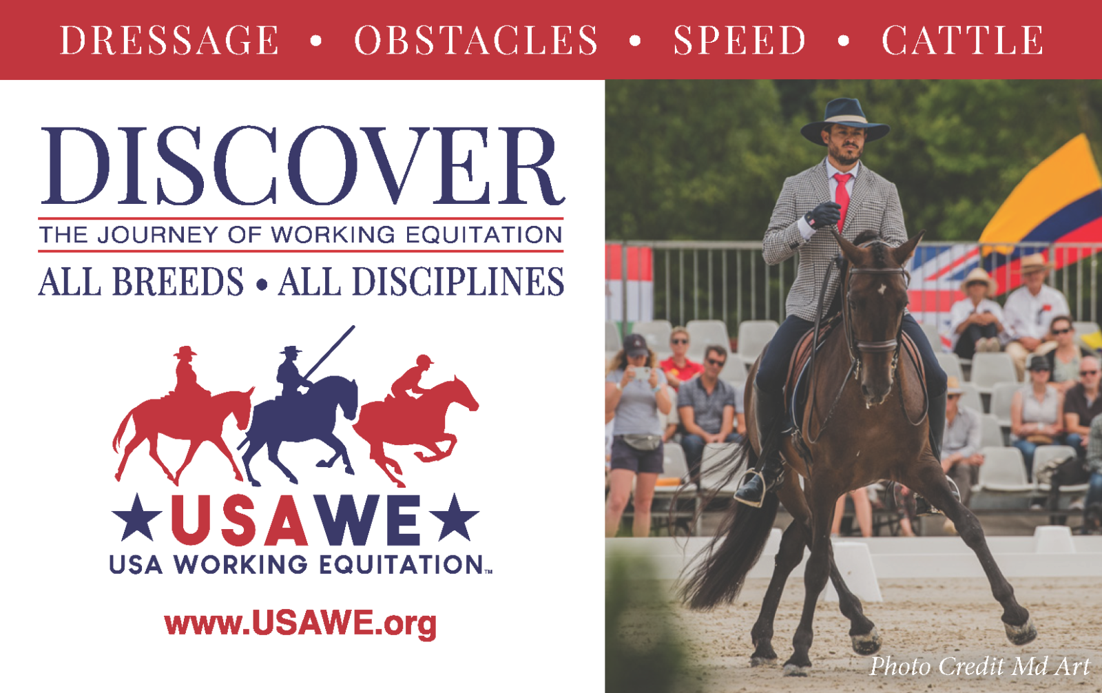 USAWE Ad for Midwest USAWE Ad showing male rider competing on bay horse