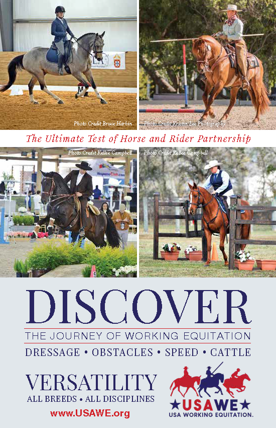 USAWE Ad for USLA(FNLsm) Vertical Ad showing images of the four stages of competition in working equitation: dressage, ease of handling, speed, and cattle