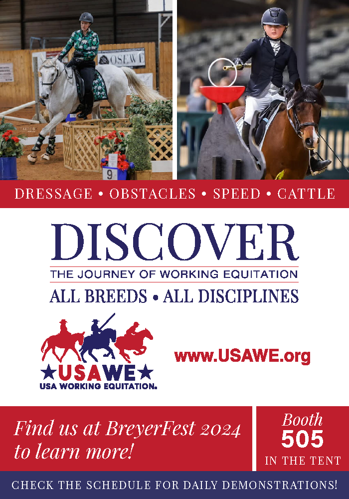 Vertical Ad showing horse & rider in speed challenge and youth rider on horseback spearing a ring on top of a wooden bull
