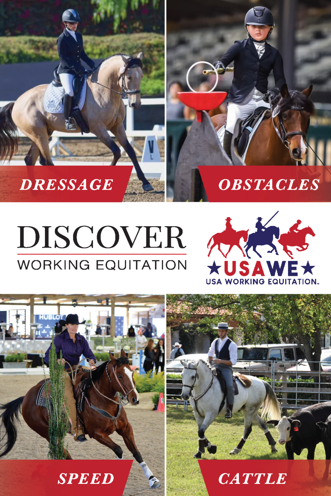 Flyer Handouts for Trade Shows showcasing riders competing in the four trials of working equitation (Front)