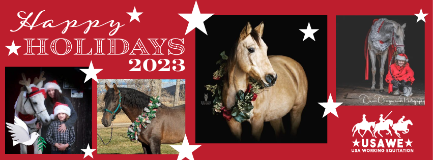 Social Media Cover Image for holiday greetings featuring horses and their owners in festive seasonal attire