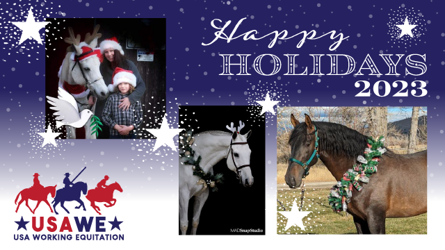 Social Media Cover Image for holiday greetings featuring horses and their owners in festive seasonal attire
