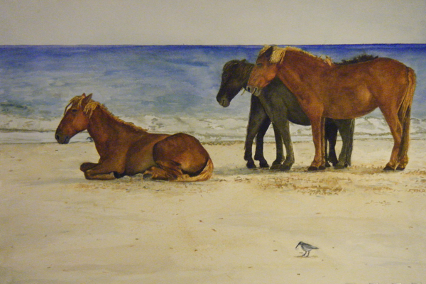 Corolla Wild Horses
(Corolla, NC)