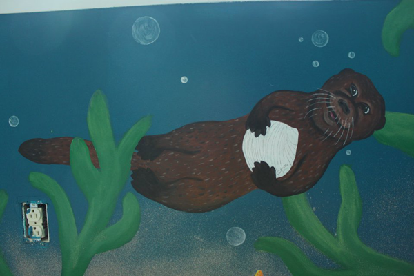 Fun Sea Otter