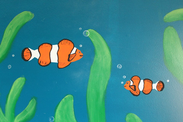 Clownfish