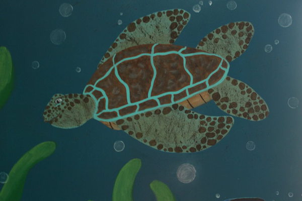Tropical Fish & Seahorse