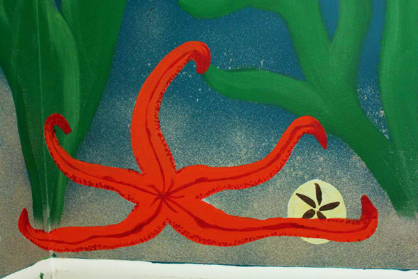 Red Sea Star & Sand Dollar