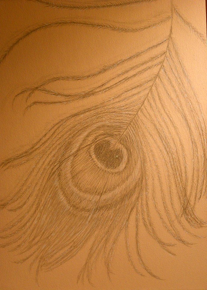 Peacock Feather (Silverpoint & White Pencil)